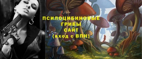 прущий лед Липки