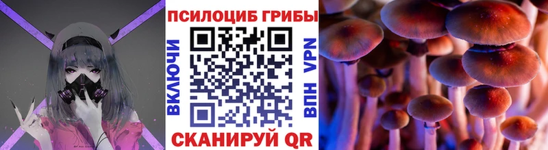Галлюциногенные грибы Psilocybe  Чёрмоз 